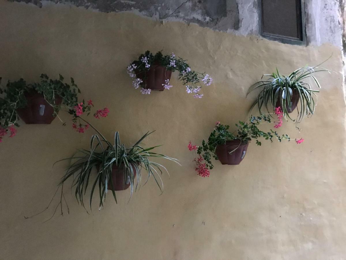 Vila Chez Lumiere Salerno Exteriér fotografie